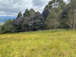  Terreno (Parcela) en venta en Chia, Cundinamarca, Chia