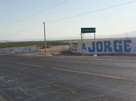  Terreno (Parcela) en venta en Nazca, Ica, Vista Alegre, Nazca