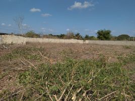  Terreno (Parcela) en venta en Tenabo, Campeche, Tenabo, Campeche