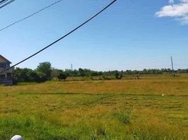  Land for sale in Pangasinan, Ilocos, Alaminos City, Pangasinan