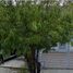 2 Bedroom House for sale in Juarez, Nuevo Leon, Juarez