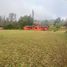 Terreno (Parcela) en venta en Los Ríos, Mariquina, Valdivia, Los Ríos