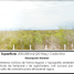  Land for sale in San Ignacio, Sinaloa, San Ignacio