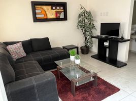 在San Luis Potosi出租的4 卧室 屋, San Luis Potosi, San Luis Potosi