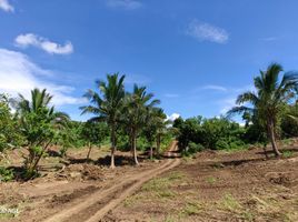  Land for sale in Cavite, Calabarzon, Silang, Cavite