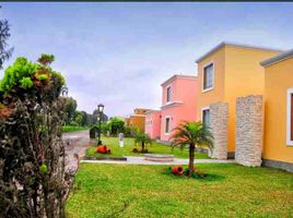  Terreno (Parcela) en venta en Asia, Lima, Asia