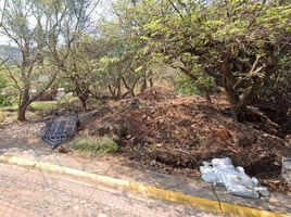  Grundstück zu verkaufen in Zapopan, Jalisco, Zapopan