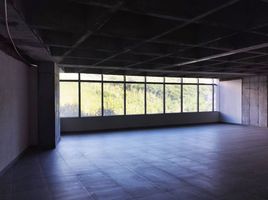 133 SqM Office for rent in Bare Foot Park (Parque de los Pies Descalzos), Medellin, Medellin