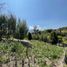 Terreno (Parcela) en venta en Cumbaya, Pichincha, Cumbaya