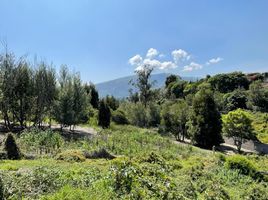  Grundstück zu verkaufen in Quito, Pichincha, Cumbaya