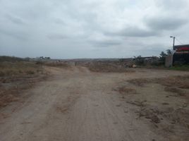  Land for sale in Montecristi, Manabi, Montecristi, Montecristi