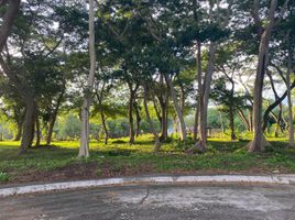  Land for sale at Manila Southwoods Peak V, Carmona