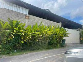  Land for sale in Gianyar, Bali, Tegallalang, Gianyar