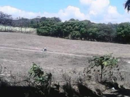  Land for sale in Calatagan, Batangas, Calatagan