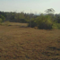  Land for sale in Calatagan, Batangas, Calatagan