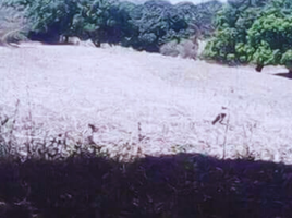  Land for sale in Calatagan, Batangas, Calatagan