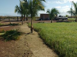  Grundstück zu verkaufen in Alvarado, Veracruz, Alvarado