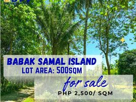  Terrain for sale in Davao del Norte, Davao, Island Garden Samal City, Davao del Norte