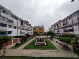 3 Bedroom Apartment for sale in La Victoria, Lima, La Victoria
