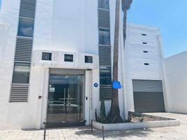 600 m² Office for rent in Monterrey, Nuevo Leon, Monterrey