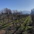 Terreno (Parcela) en venta en Maipo, Santiago, Buin, Maipo