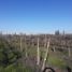  Terreno (Parcela) en venta en Maipo, Santiago, Buin, Maipo