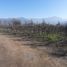  Terreno (Parcela) en venta en Maipo, Santiago, Buin, Maipo