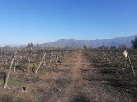  Terreno (Parcela) en venta en Maipo, Santiago, Buin, Maipo