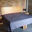 2 Habitación Apartamento en alquiler en San Luis Potosi, San Luis Potosí, San Luis Potosi, San Luis Potosí