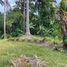  Terrain for sale in Lemery, Batangas, Lemery