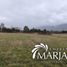  Land for sale in Chile, Villarrica, Cautin, Araucania, Chile