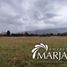  Land for sale in Chile, Villarrica, Cautin, Araucania, Chile