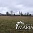  Land for sale in Chile, Villarrica, Cautin, Araucania, Chile