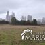  Land for sale in Chile, Villarrica, Cautin, Araucania, Chile