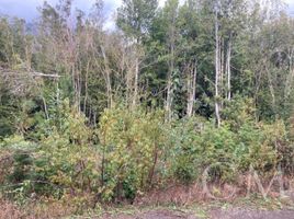  Land for sale in Chile, Puerto Montt, Llanquihue, Los Lagos, Chile