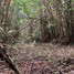  Land for sale in Chile, Puerto Montt, Llanquihue, Los Lagos, Chile