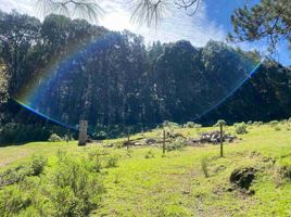  Land for sale in Mineral Del Chico, Hidalgo, Mineral Del Chico