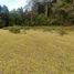  Land for sale in Mineral Del Chico, Hidalgo, Mineral Del Chico
