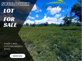  Land for sale in Bohol, Central Visayas, Valencia, Bohol