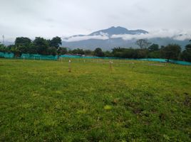  Land for sale in Palmira, Valle Del Cauca, Palmira