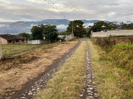  Terreno (Parcela) en venta en Ibarra, Imbabura, San Antonio, Ibarra