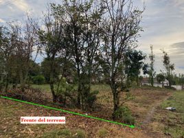  Land for sale in San Antonio, Ibarra, San Antonio