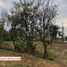  Land for sale in Imbabura, San Antonio, Ibarra, Imbabura