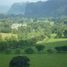  Land for sale in Hueytamalco, Puebla, Hueytamalco
