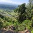  Land for sale in Hueytamalco, Puebla, Hueytamalco