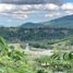  Land for sale in Hueytamalco, Puebla, Hueytamalco