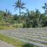  Terrain for sale in Baturiti, Tabanan, Baturiti