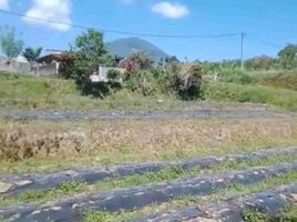  Terreno (Parcela) en venta en Bali, Baturiti, Tabanan, Bali