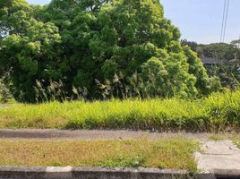  Land for sale in Southern District, Metro Manila, Muntinlupa City, Southern District