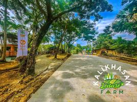  Terreno (Parcela) en venta en Indang, Cavite, Indang